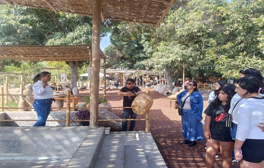 Paracas – ICA FULL DAY