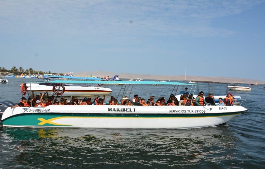 Tour Islas Ballestas y Reserva Nacional de Paracas