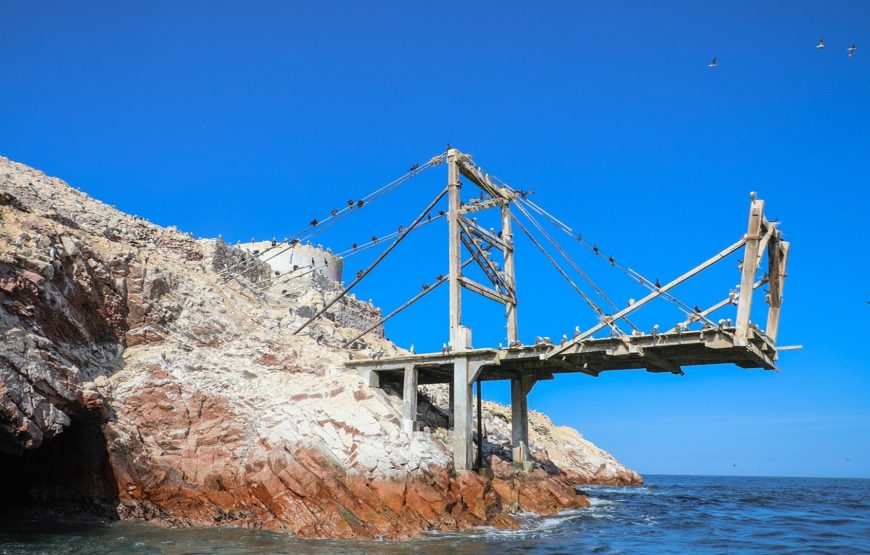 Tour Islas Ballestas y Reserva Nacional de Paracas