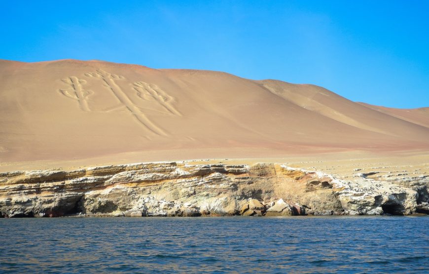 Tour Islas Ballestas y Reserva Nacional de Paracas