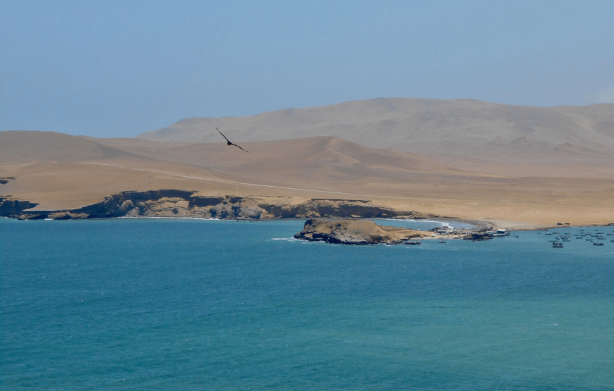 Tour Islas Ballestas y Reserva Nacional de Paracas