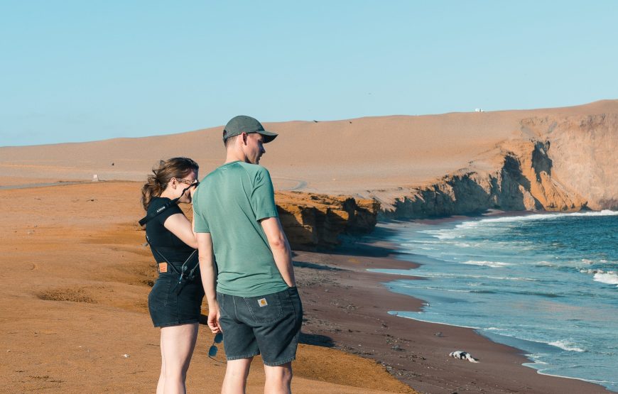 Islas Ballestas y Aventura en Minibuggy por la Reserva de Paracas