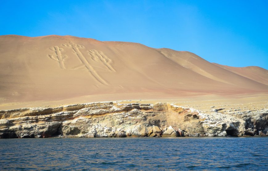 Islas Ballestas y Aventura en Minibuggy por la Reserva de Paracas