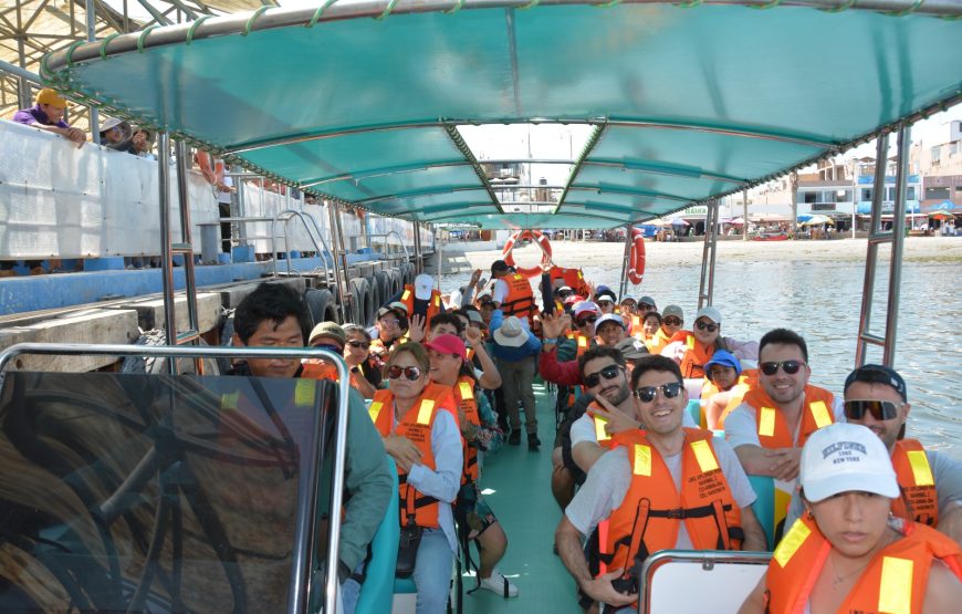 Islas Ballestas y Aventura en Minibuggy por la Reserva de Paracas